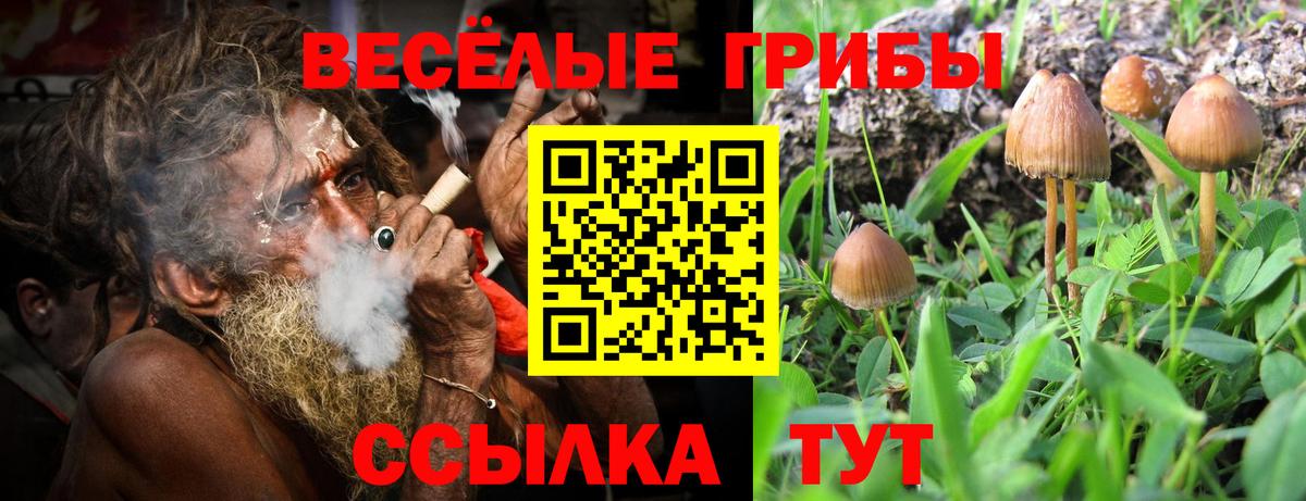 Ялта  Псилоцибиновые грибы мухоморы  Вход с VPN 