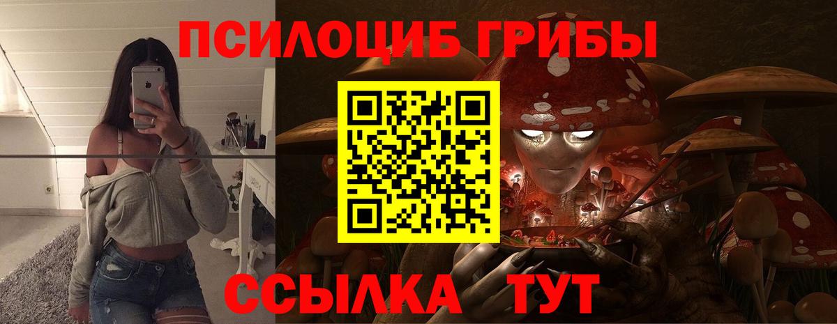 Псилоцибиновые грибы Psilocybe Ялта